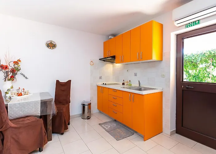 Alice Oasis - Poreč