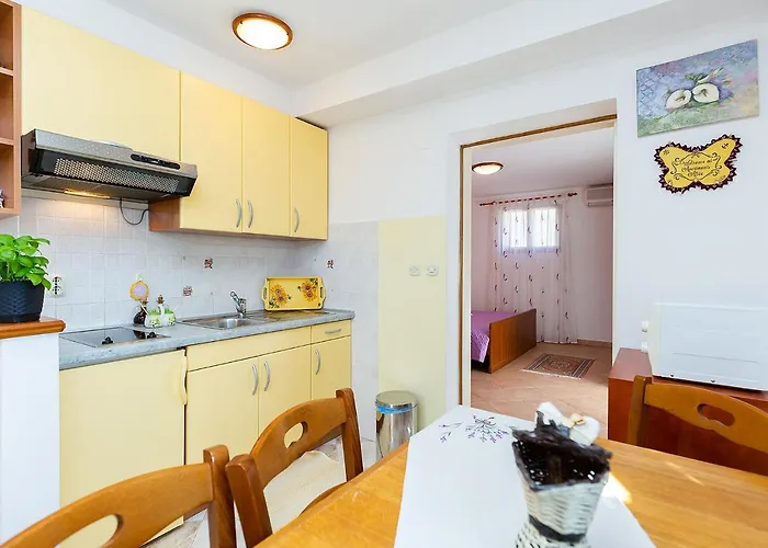 Alice Oasis - Poreč