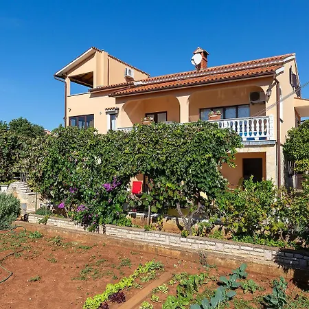 דירה Alice Oasis - פורץ