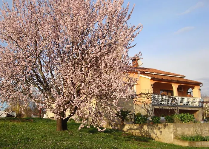 Alice Oasis - Poreč